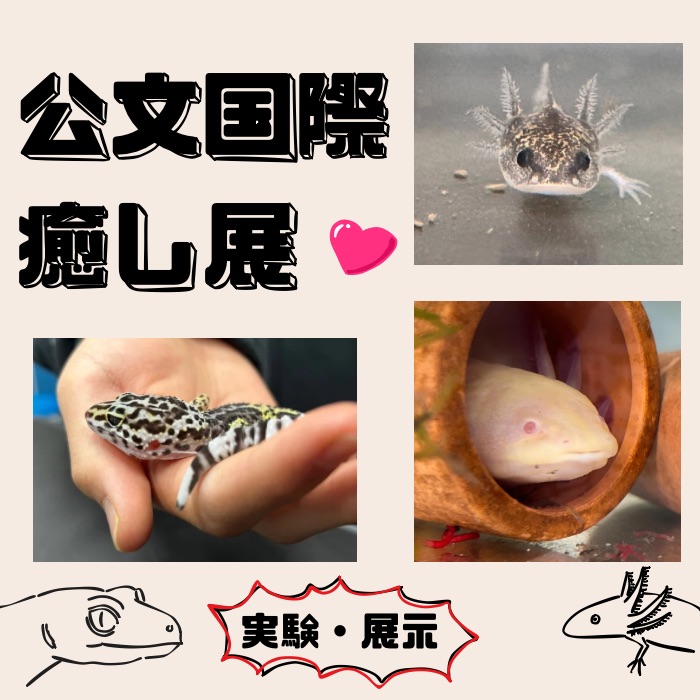 公文国際癒し展