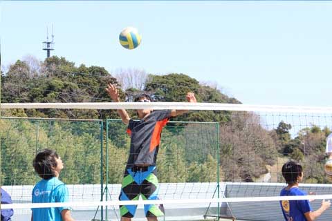 Volleyball Club