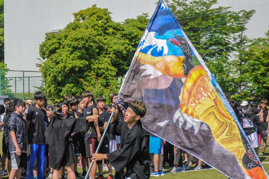 Cheering Team Flag