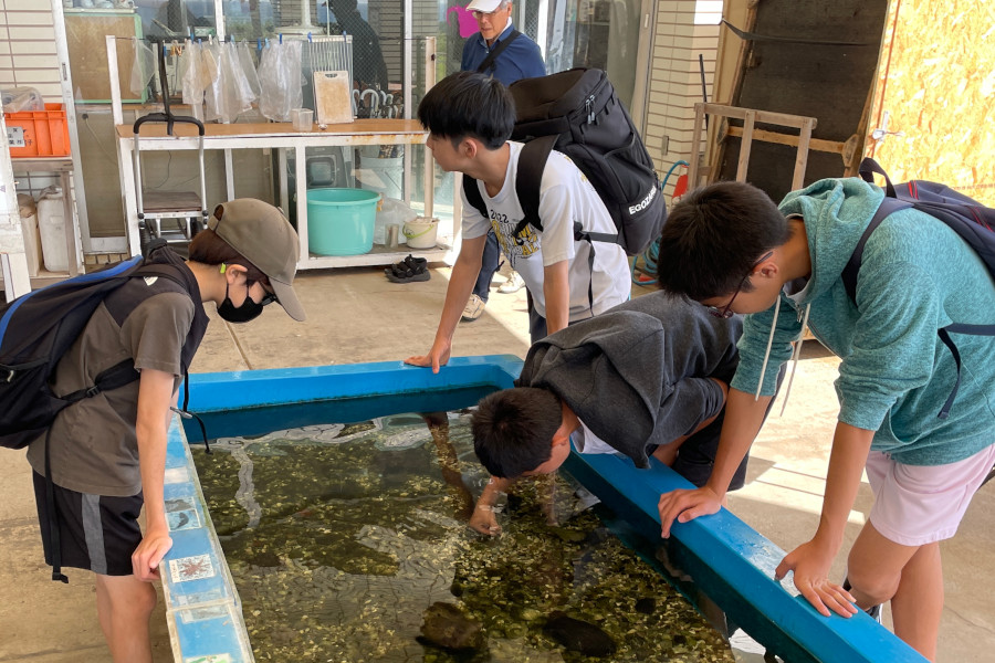 海の豊かさを守ろう