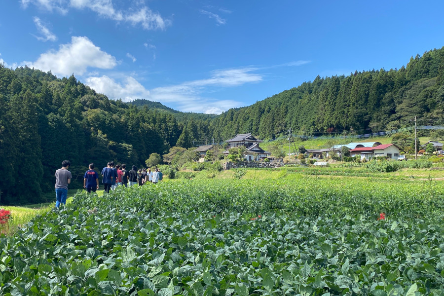 食品開発コース（茨城県）